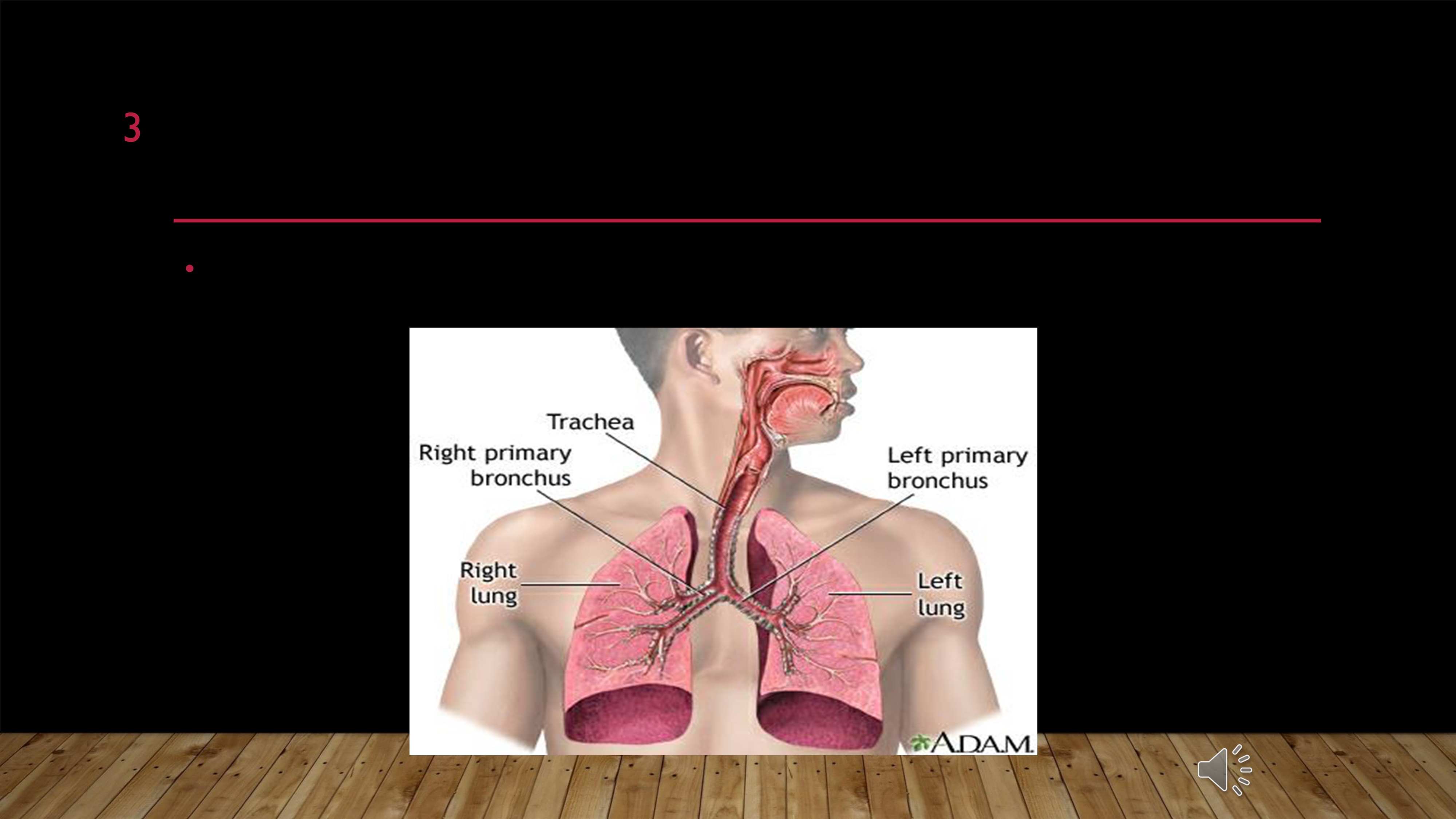 No preview available